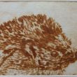 Egel  Droge naald  8x11,5  druk 2/8